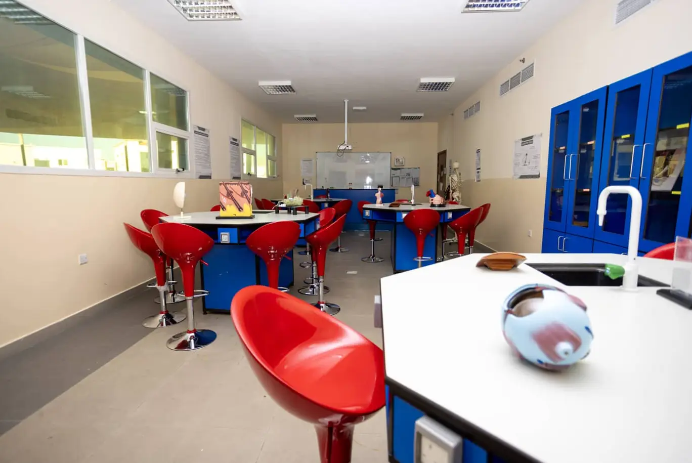 معرض الصور 8